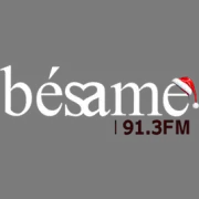 Logo de Bésame 91.3FM